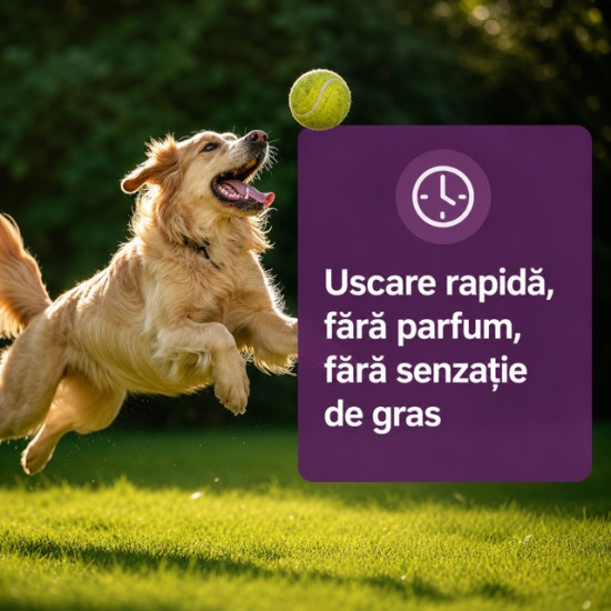 Vectra 3D – Antiparazitar Extern pentru Câini peste 40 kg, 3 Pipete – Ceva Santé Animale